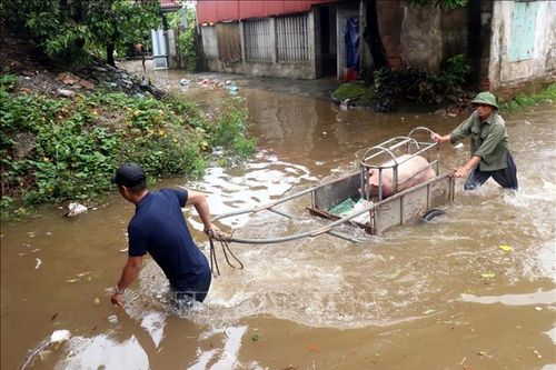 Hưng Yên chủ động ứng phó với lũ lớn trên sông Hồng