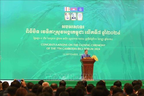 Campuchia hướng tới nâng cấp chuỗi cung ứng lúa gạo quốc gia
