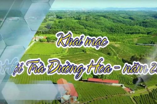 Quảng Ninh: Lùi thời gian tổ chức lễ hội Trà Đường Hoa vì bão số 3