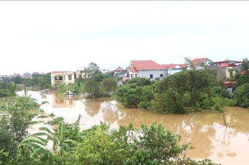 Hưng Yên: Báo động 3 trên tuyến đê tả sông Hồng