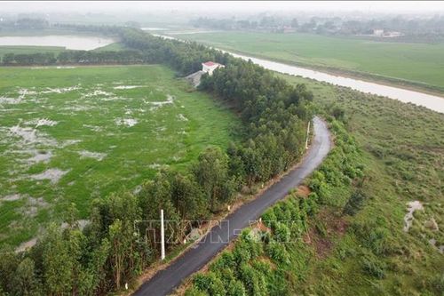 Mưa lũ phức tạp, Vĩnh Phúc cấm xe ô tô trên một số tuyến đê