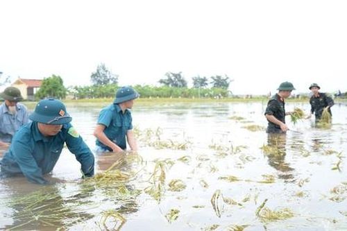 Hà Nội: Báo động lũ mức 1 trên sông Đà tại địa phận Ba Vì