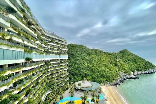 Ông chủ Khu nghỉ dưỡng Flamingo Cát Bà báo lãi tăng gấp 7 lần