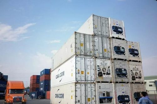 TP. Hồ Chí Minh: Doanh nghiệp xin được tiêu hủy container đông lạnh 'kẹt' tại cảng