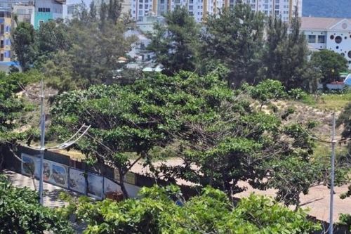 Bà Rịa – Vũng Tàu: Một cán bộ văn phòng nhận 43 tỷ đồng để môi giới hối lộ