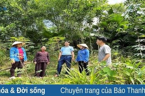 Trưởng ban công tác mặt trận nhiệt huyết, trách nhiệm