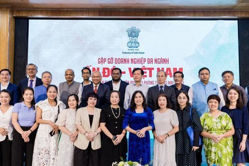 Kết nối doanh nghiệp đa ngành Ấn Độ - Việt Nam