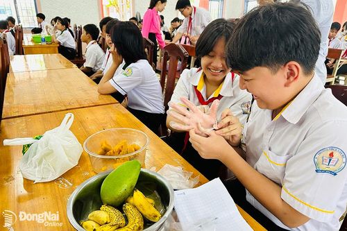 Dạy học sinh biết phân loại rác tại nguồn