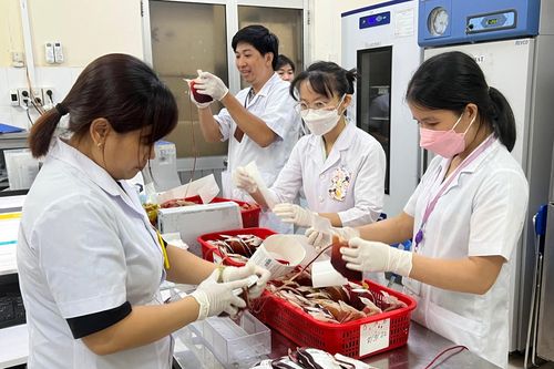 Kỹ thuật xét nghiệm điện di hemoglobin: Hỗ trợ tầm soát, chẩn đoán bệnh tan máu bẩm sinh