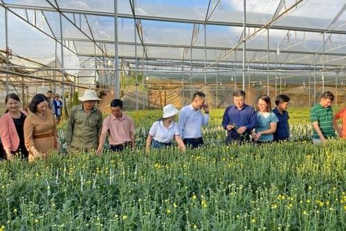 Đổi trắng thành xanh - hành trình bao lâu nữa? (Bài cuối)