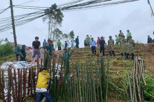 Phù Ninh tập trung chống tràn, xử lý mạch sủi đê