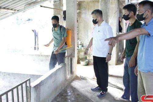Đồng bộ các biện pháp phòng, chống dịch bệnh cho đàn vật nuôi