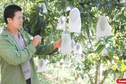 Các khâu đột phá ở Đảng bộ xã Quy Hướng