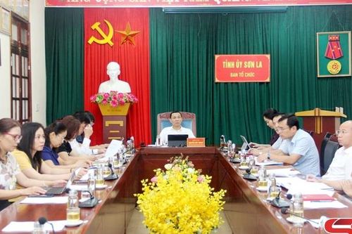 Góp ý dự thảo Quy chế làm việc mẫu của đảng đoàn, ban cán sự đảng cấp tỉnh