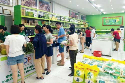 HTX Nông nghiệp và Dịch vụ Tâm Hương: Đảm bảo nguồn hàng cho người dân mùa mưa bão