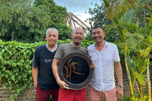 Sắp diễn ra Triển lãm 'Otherwise – Mặt khác'
