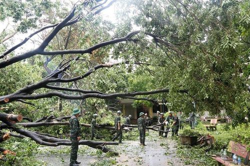 Hà Đông (Hà Nội): Tích cực, chủ động khắc phục hậu quả bão số 3
