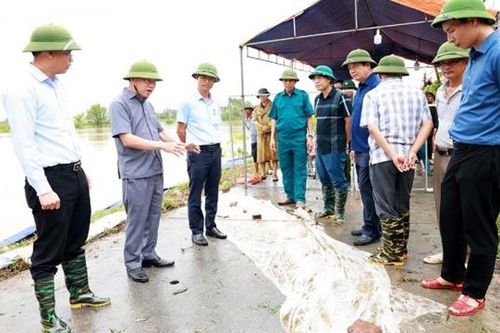 Bắc Giang: Kiểm tra công tác đê điều tại khu vực đê bối sông Thương