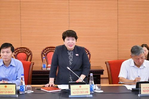 Thẩm tra việc thực hiện Chương trình mục tiêu quốc gia giảm nghèo bền vững năm 2024