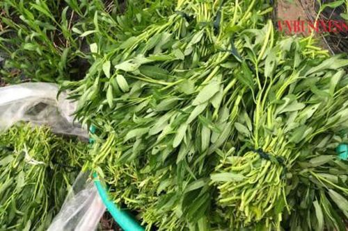 Suy giảm nguồn cung do mưa bão, giá rau củ quả tại các chợ truyền thống tăng mạnh