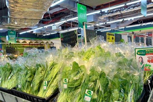 Tăng cường cung ứng rau củ cho miền Bắc, người dân không cần tích trữ nhiều thực phẩm