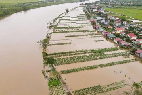 Hải Dương phát lệnh báo động 2 trên sông Luộc