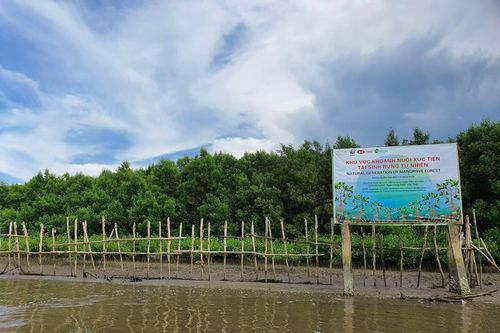 Phát triển bền vững: Doanh nghiệp cần đầu tư và đón đầu cơ hội