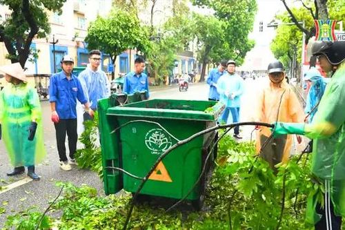 Hà Nội: 579 đội hình thanh niên khắc phục bão số 3