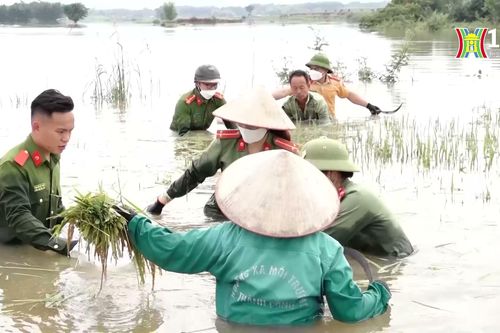Sáng ngời những bông hoa việc tốt | An ninh Thủ đô | 11/09/2024