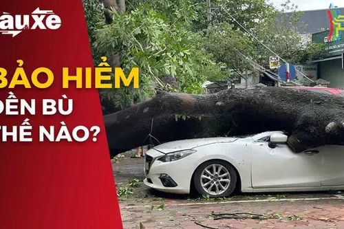 Phương tiện hỏng do thiên tai, bảo hiểm đền bù thế nào?