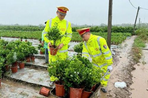 Tăng cường ứng phó, đảm bảo an toàn cho người dân và tài sản
