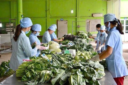 Tin tức đặc biệt trên báo in Hànôịmới ngày 11-9-2024