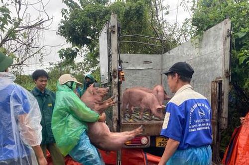 Hoàng Mai: Chiều 11-9, không có hộ dân nào phải di chuyển khỏi nơi nguy hiểm