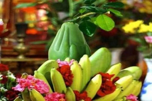 Vì sao chuối xanh rất mau chín sau khi thắp hương?