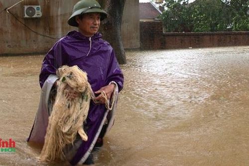Hà Nội: Lũ trên sông Bùi cuồn cuộn tràn về, hàng nghìn hộ dân chìm trong biển nước