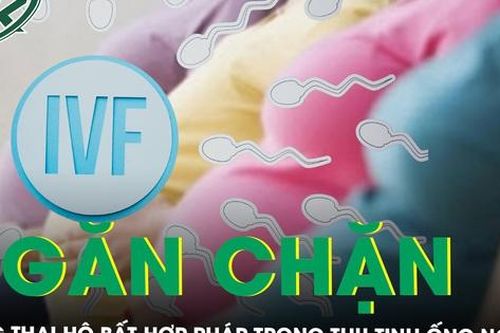Ngăn chặn mang thai hộ bất hợp pháp trong thụ tinh ống nghiệm IVF