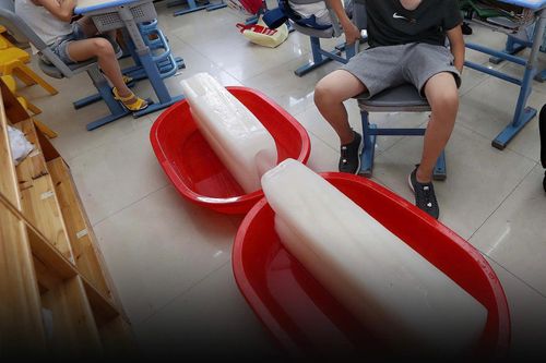 Trường ở Trung Quốc bị tố ép phụ huynh đóng tiền mua điều hòa cho lớp