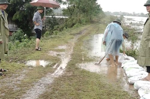Huyện Mỹ Đức: ứng trực thường xuyên để kịp thời xử lý sự cố đê điều
