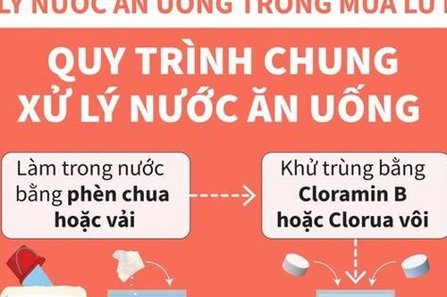 Bộ Y tế hướng dẫn xử lý nước và vệ sinh môi trường trong mùa bão lụt
