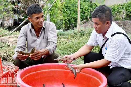 Hai nông dân Khmer sản xuất giỏi