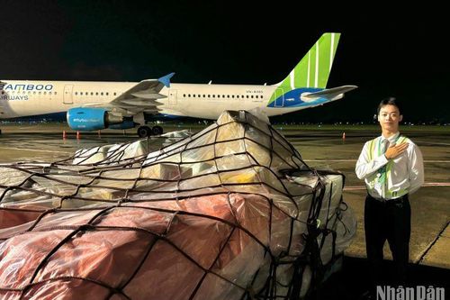 Bamboo Airways vận chuyển hỏa tốc lô hàng cứu trợ miễn phí đến Hà Nội