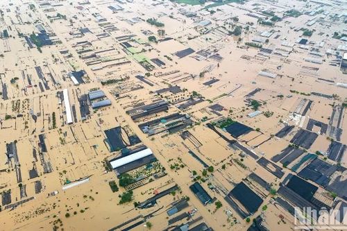 Điện thăm hỏi của Chính phủ Nhật Bản liên quan thiệt hại do bão lũ gây ra ở Việt Nam