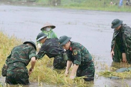 Hàng trăm lượt cán bộ, chiến sĩ công an, quân đội giúp người dân Sơn Tây chạy lụt