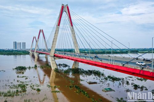 Mực nước sông Hồng giảm, vùng đào lớn nhất Thủ đô vẫn chìm trong biển nước