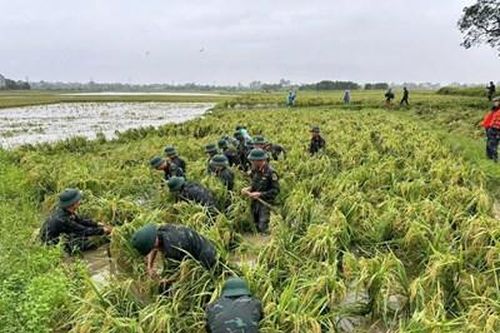 Lực lượng vũ trang dốc sức giúp dân khắc phục hậu quả bão số 3
