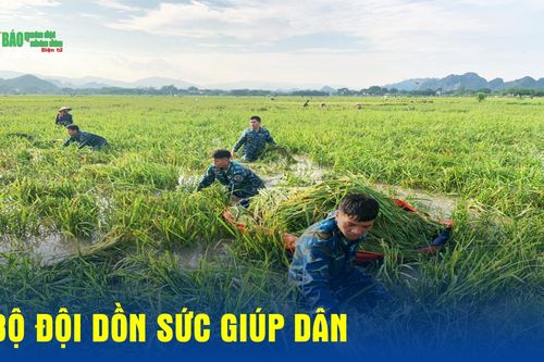 Bộ đội dồn sức giúp dân