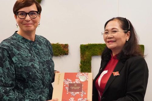 TPHCM và TP Tampere (Phần Lan) trao đổi kinh nghiệm để vận dụng tốt hơn các cơ chế, chính sách đặc thù