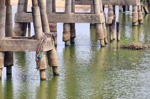 Quảng Ngãi kiểm tra toàn bộ các cây cầu