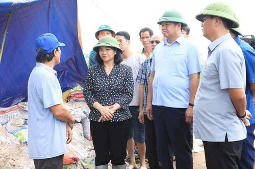 Hà Nội: Cứu chữa miễn phí người bị nạn do ảnh hưởng của bão số 3; nhanh chóng khôi phục sản xuất sau mưa lũ