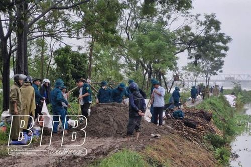 Thái Bình: Tiếp tục tăng cường công tác tuần tra, canh gác và xử lý sự cố trên tuyến đê quốc gia